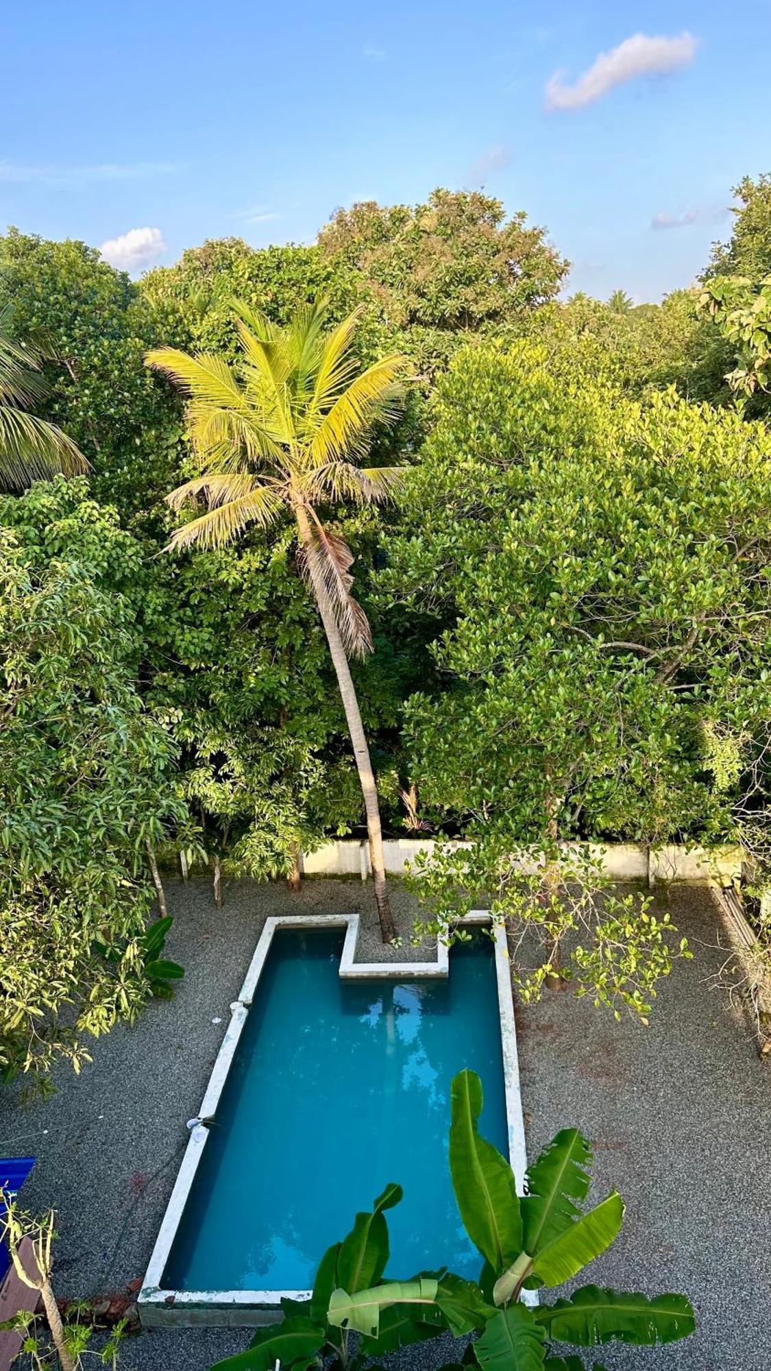 House Of Surf Hostel For Women Varkala Bagian luar foto